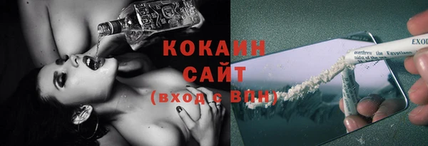 стаф Нея