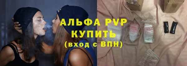 стаф Нея