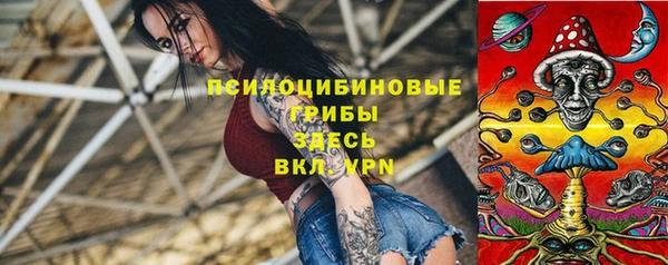 стаф Нея