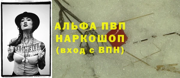 стаф Нея