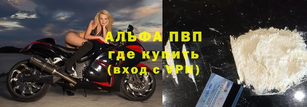 стаф Нея