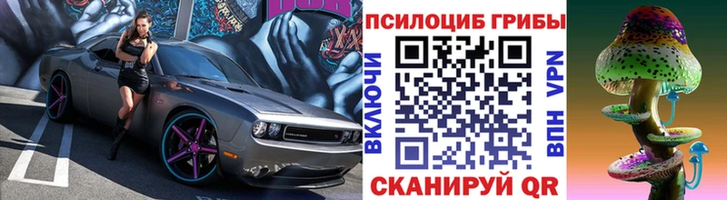 купить закладку  мега сайт  Галлюциногенные грибы ЛСД  Электроугли 